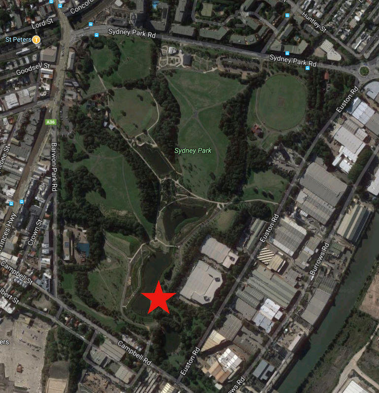 A maps with a star showing our spot on the south-east corner of Sydney Park Wetlands